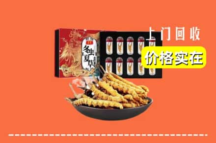 金州区回收冬虫夏草